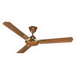 Ceiling Fans
