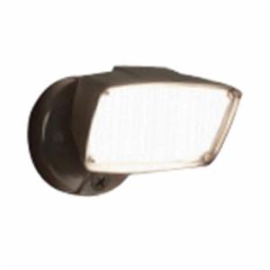 Cooper Lighting FSL203TB