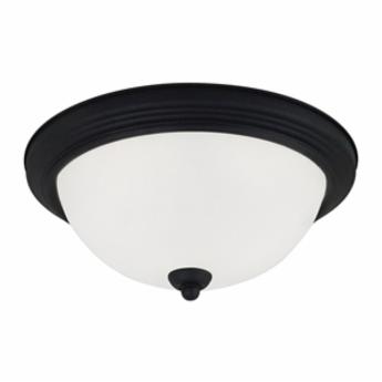 Sea Gull Lighting® 77064-839