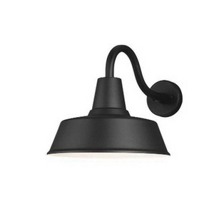 Sea Gull Lighting® 8737401-12