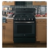 GE Appliances JGB660FEJDS