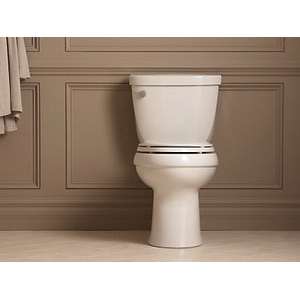 Kohler® K-4309-0