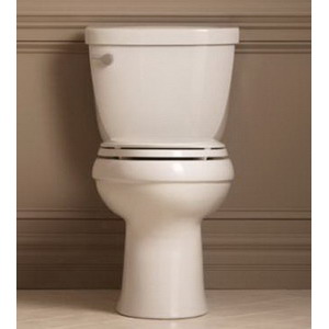 Kohler® K-4309-96