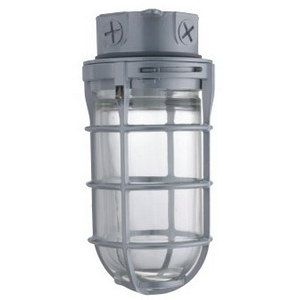 Lithonia Lighting® VC150I M12