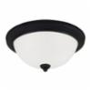 Sea Gull Lighting® 77063-839